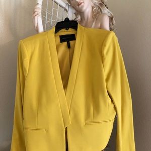 BCBG BLAZER SIZE LARGE